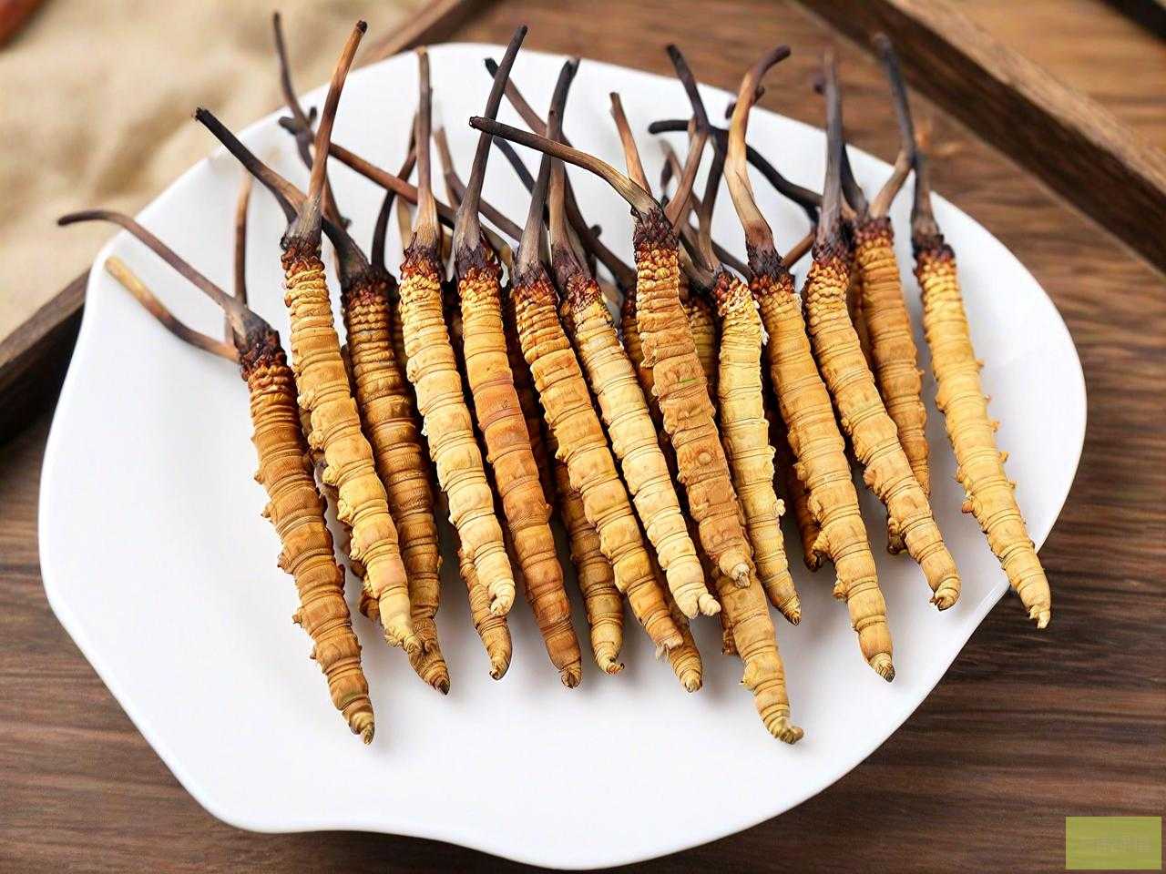 冬虫夏草的作用与作用